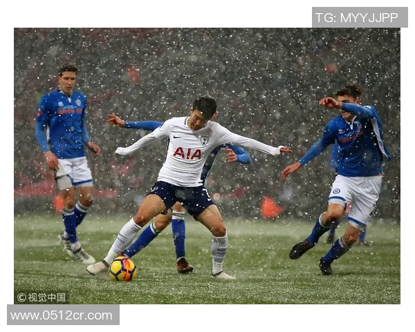 罗奇代尔主场迎战维尔港期待精彩对决与胜利的较量 罗奇代尔主场迎战维尔港期待精彩对决与胜利的较量