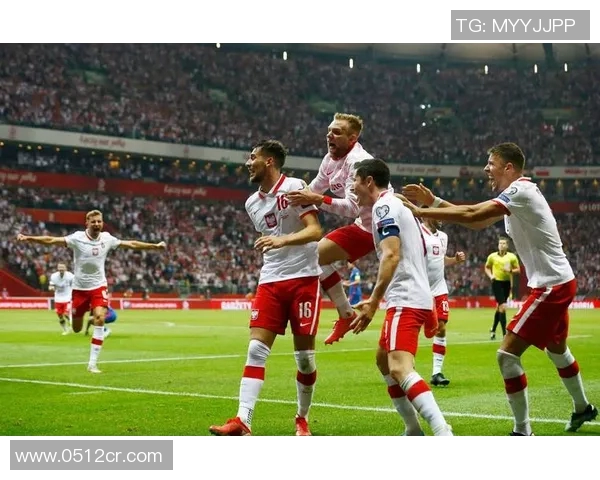 2017年世预赛丹麦对阵波兰精彩回顾与赛后分析