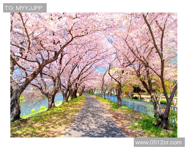 日联杯激战樱花对决札幌争夺晋级名额精彩回顾