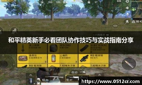 熊猫体育直播