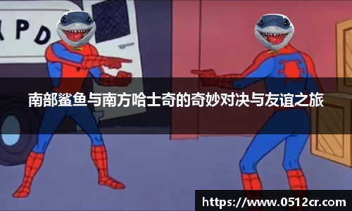 熊猫体育官网网址